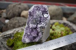 Amethyst Drusen Stück    620g  Topstone  ab  10.-