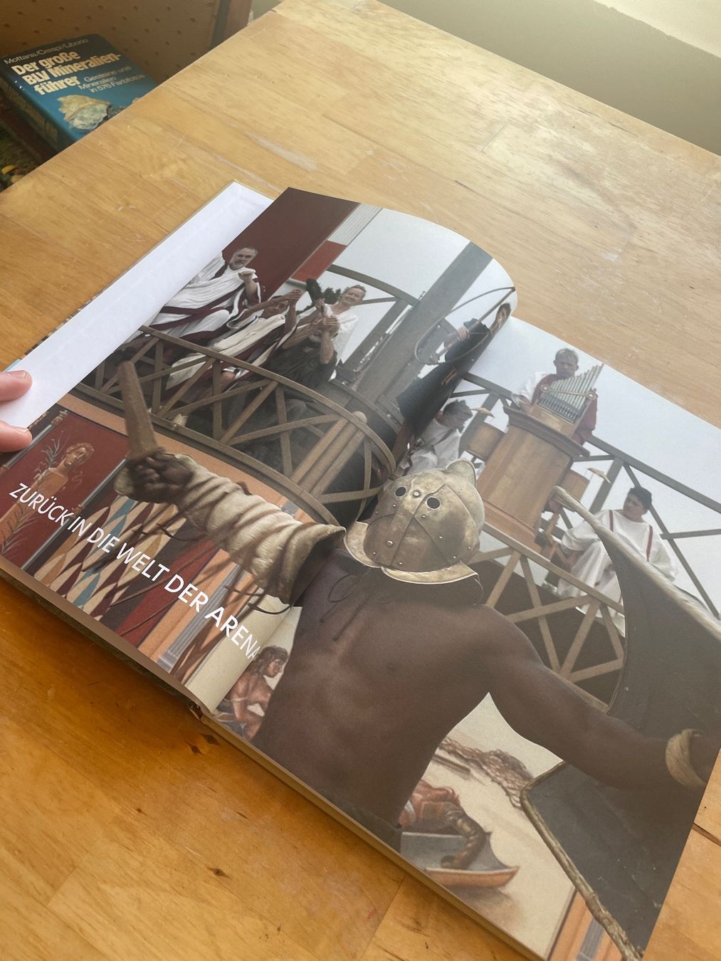 Livres: Gladiatoren von Marcus Junkelmann – D'occasion à Sent par ManuelB07 3