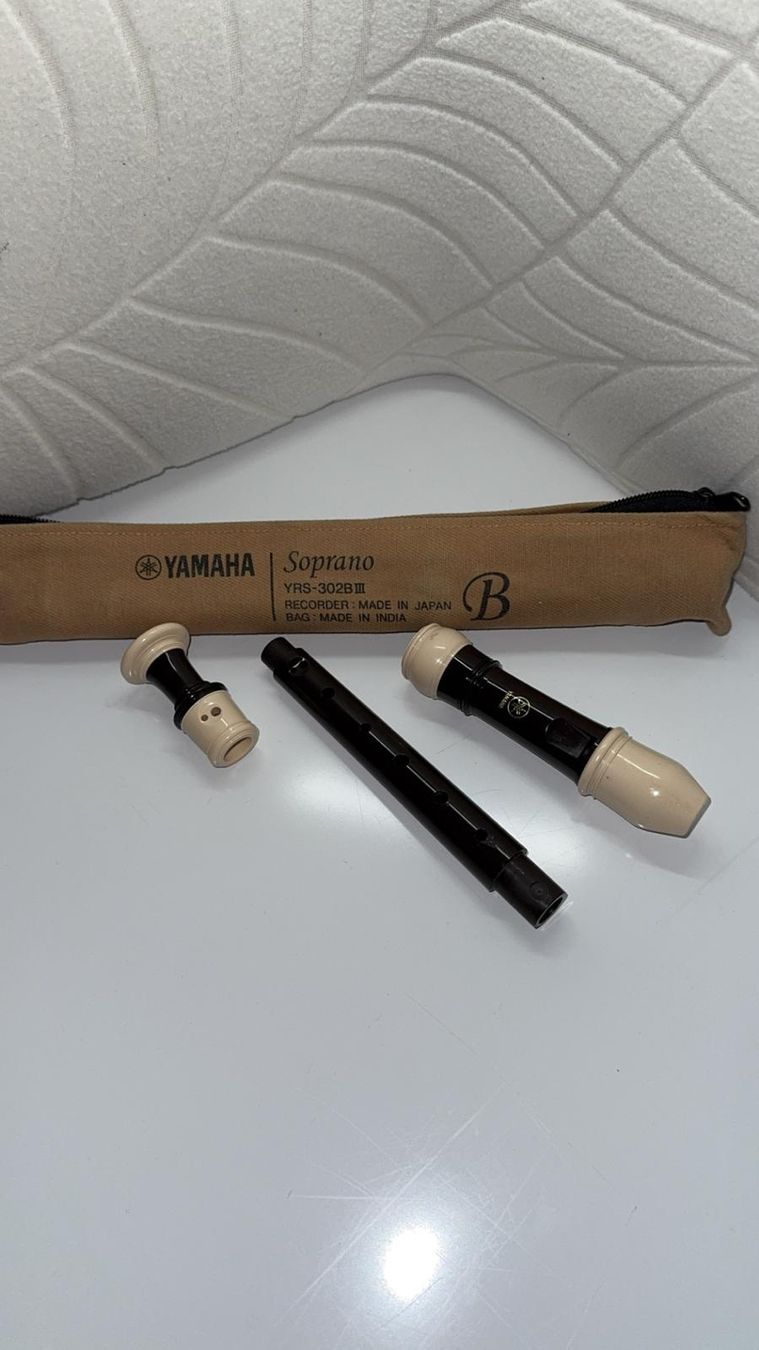 Yamaha Strumenti musicali: YAMAHA SOPRAN BLOCKFLÖTE – Usato da Basel venduto da mel_gh8b 1