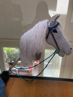 Grau weiss geflecktes Steckenpferd/ HobbyHorse