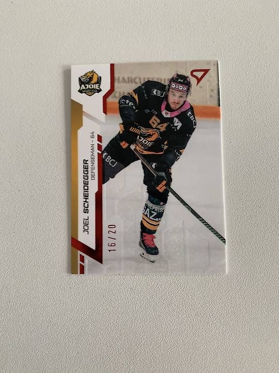 Sportzoo Carte collezionabili: Sportzoo card Joel Scheidegger 16/20 – Nuovo e nell'imballaggio originale da Bellinzona venduto da spa_69zv
