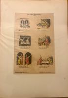3 Münchener Bilderbogen Nr. 809, 946, 1159