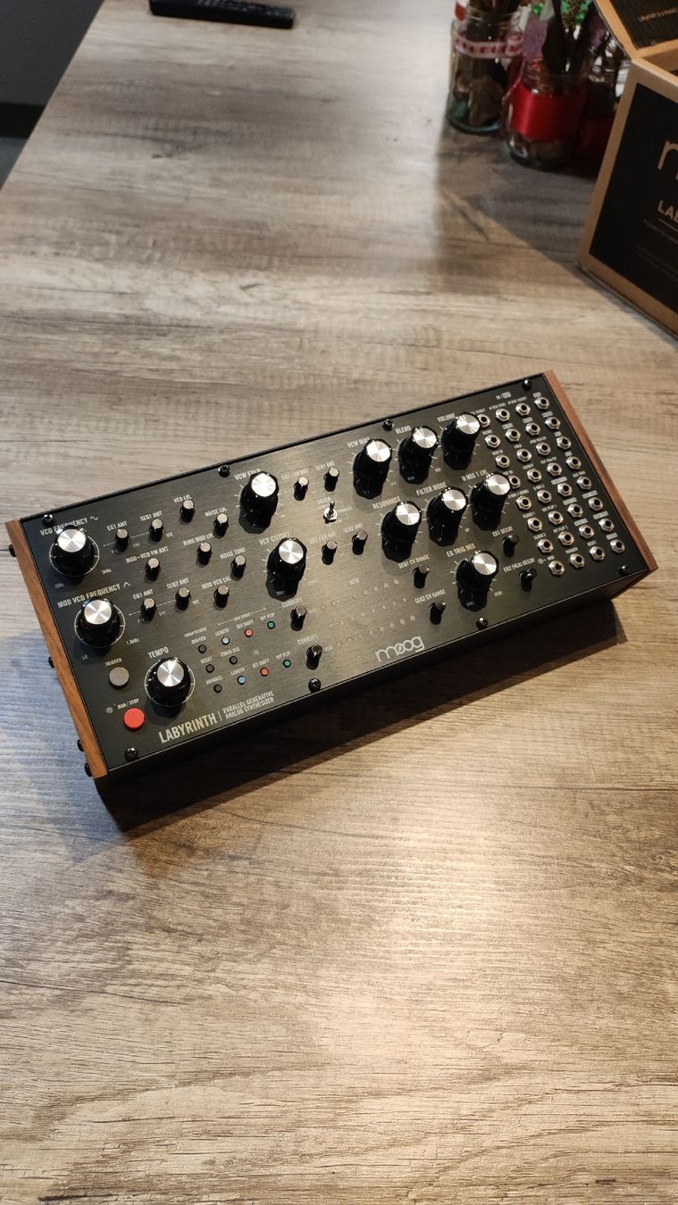 Moog Strumenti musicali: Moog Labyrinth – Usato da Sorengo venduto da sach1991 3