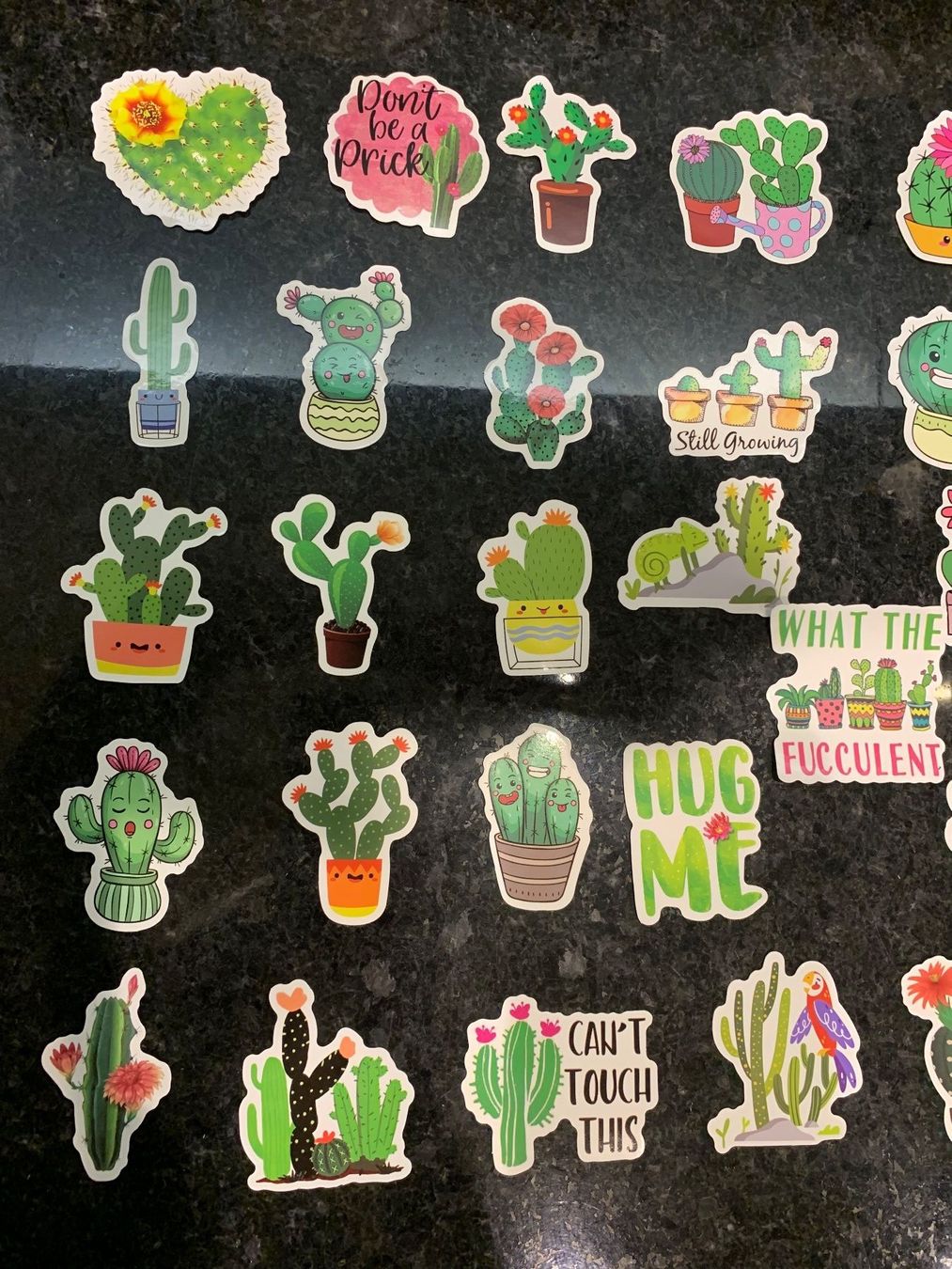 Sticker: Aufkleber, Kaktus, Sticker 50 Stück – Nuovo e nell'imballaggio originale da Rorschach venduto da lobosch1 4