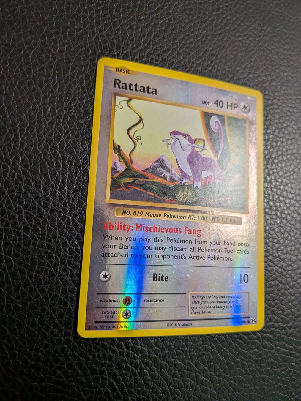 Pokémon Carte collezionabili: Evolutions Rattata reverse 66/108 Ab 1 – Usato da Paradiso venduto da Pkmn10 1