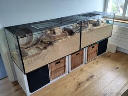 Hamster Käfig