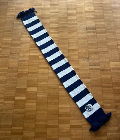 Klassischer FC Luzern FCL Fanschal - gestreift mit Logo
