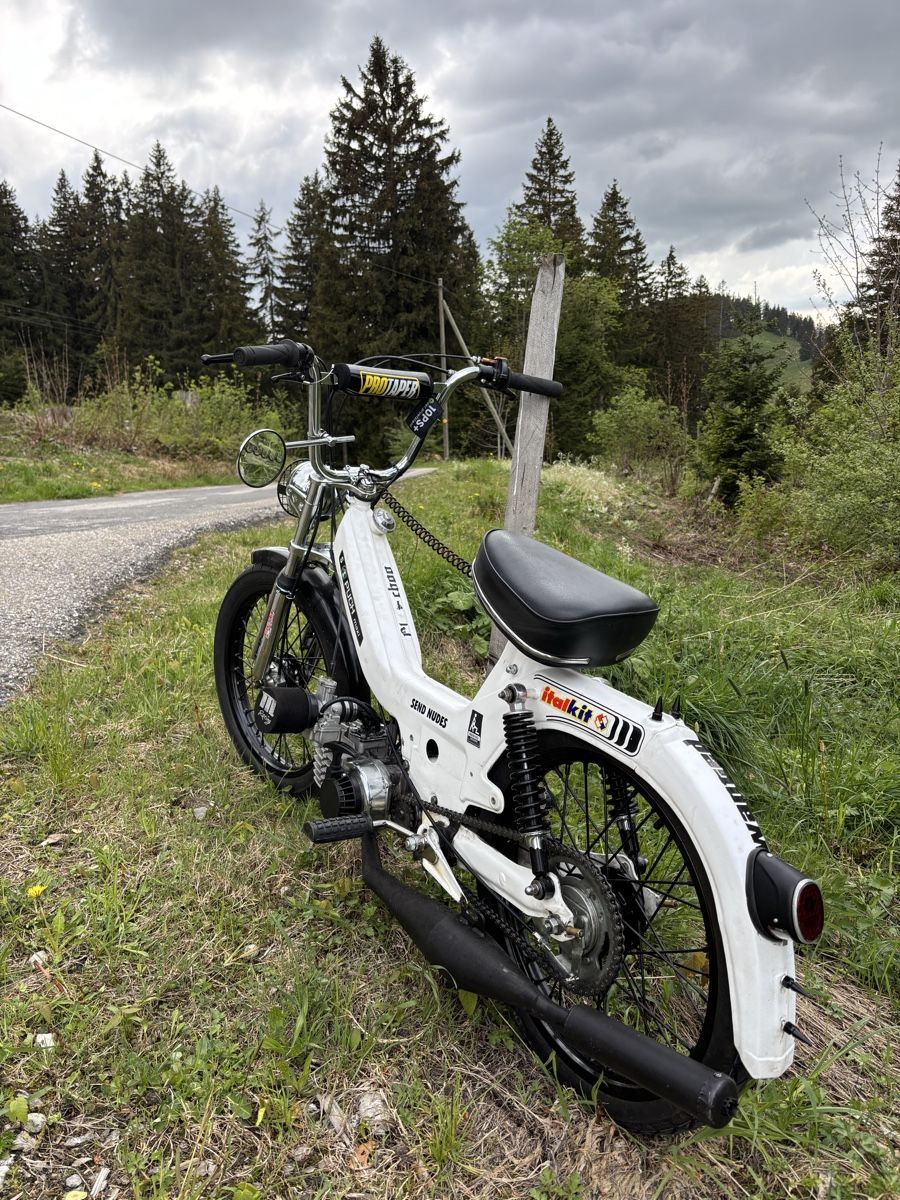 Puch Ciclomotori: Puch Maxi S – Nuovo (secondo la descrizione) da Schüpfheim venduto da dapistel 1