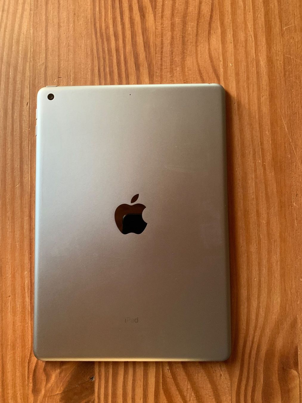 Apple Tablet PC: Gut erhaltenes iPad, 5. Generation, 32 GB – Usato da Flaach venduto da Rosatipi 2