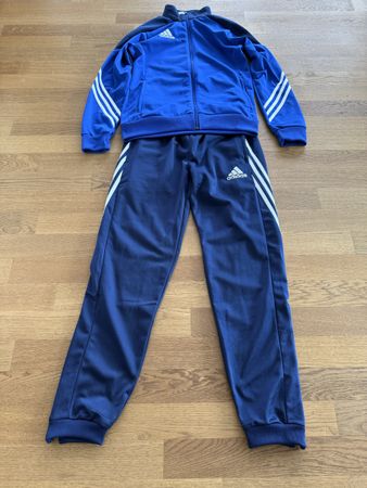 Trainingsanzug von Adidas Gr.164 