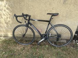 Raleigh Rapido Rennvelo 