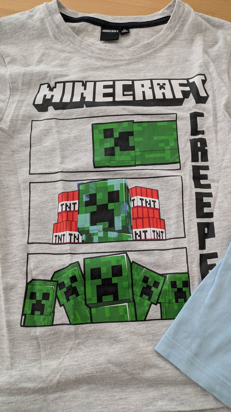 Camicie, T-shirt & Polo: MINECRAFT - T-Shirt Set - Gr. 134 – Usato da Staufen venduto da Fleby84 2