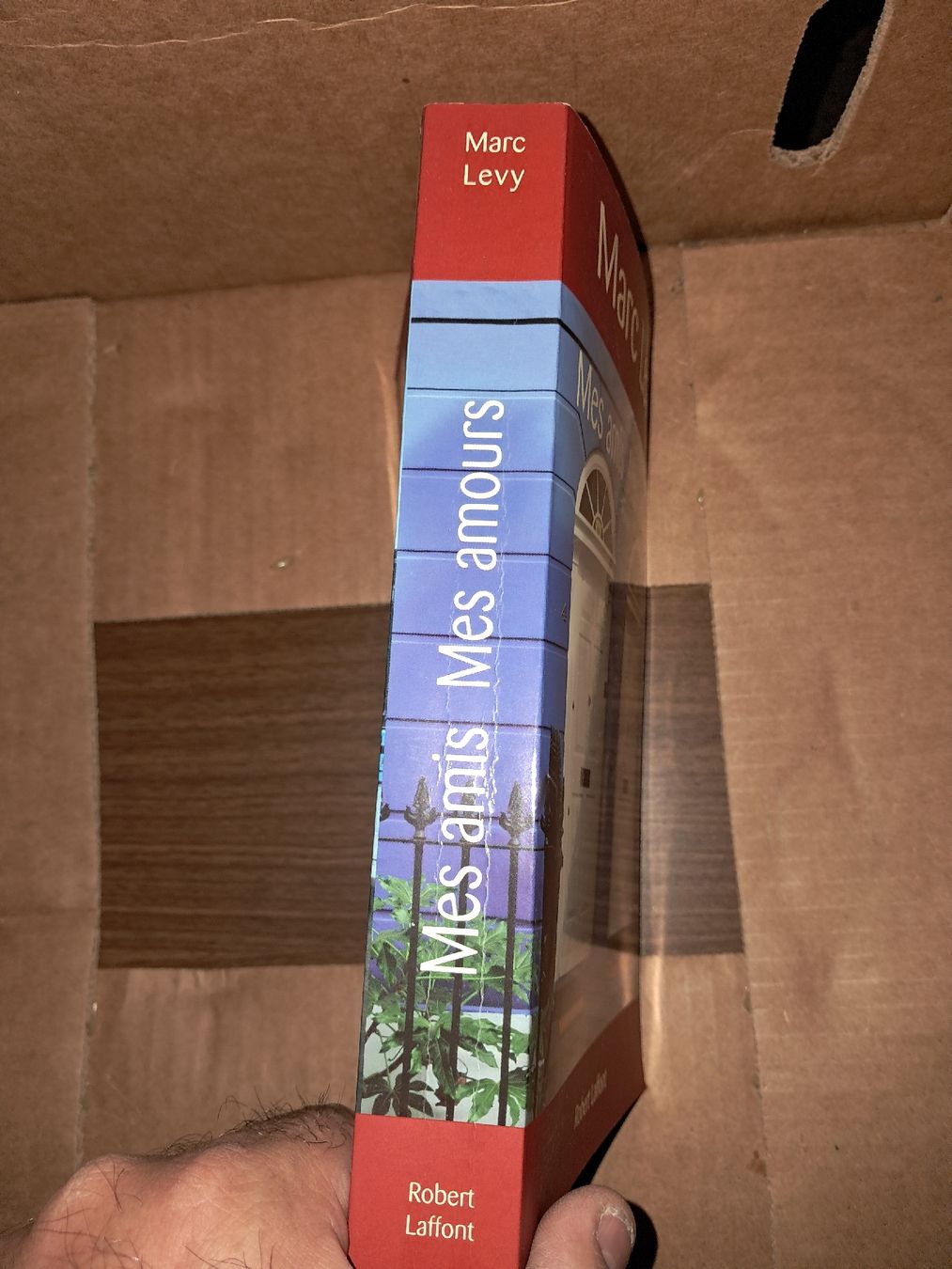 Bücher: Mes amis mes amours Roman de Marc Levy – Gebraucht aus Le locle von juliensaran 3