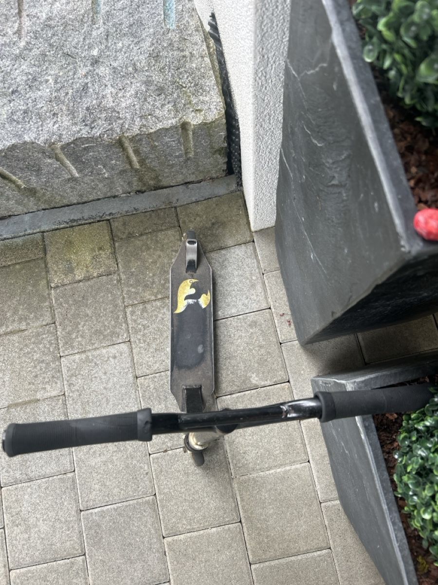 Chilli Kickboard: Gebrauchter Scooter Chilli – Gebraucht aus Wilen b. Wil von sanyy1914 1