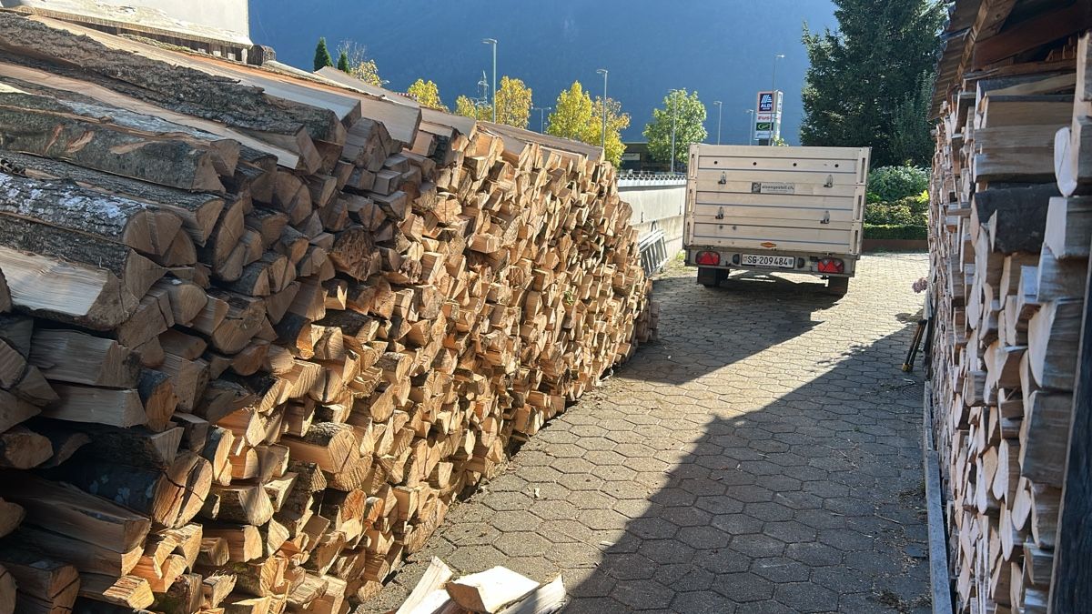 Materiale di riempimento: Sichtschutzholz/Füllholz – Nuovo (secondo la descrizione) da Schaenis venduto da Emorger 3