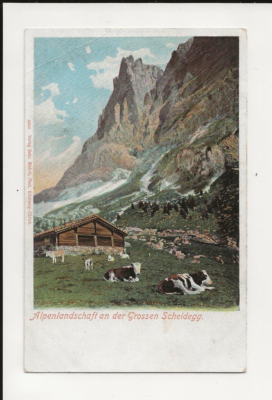 Ansichtskarten: AK ca.1905 Alpenlandschaft an der Grossen Scheidegg – Gebraucht aus Greifensee von 315WDO