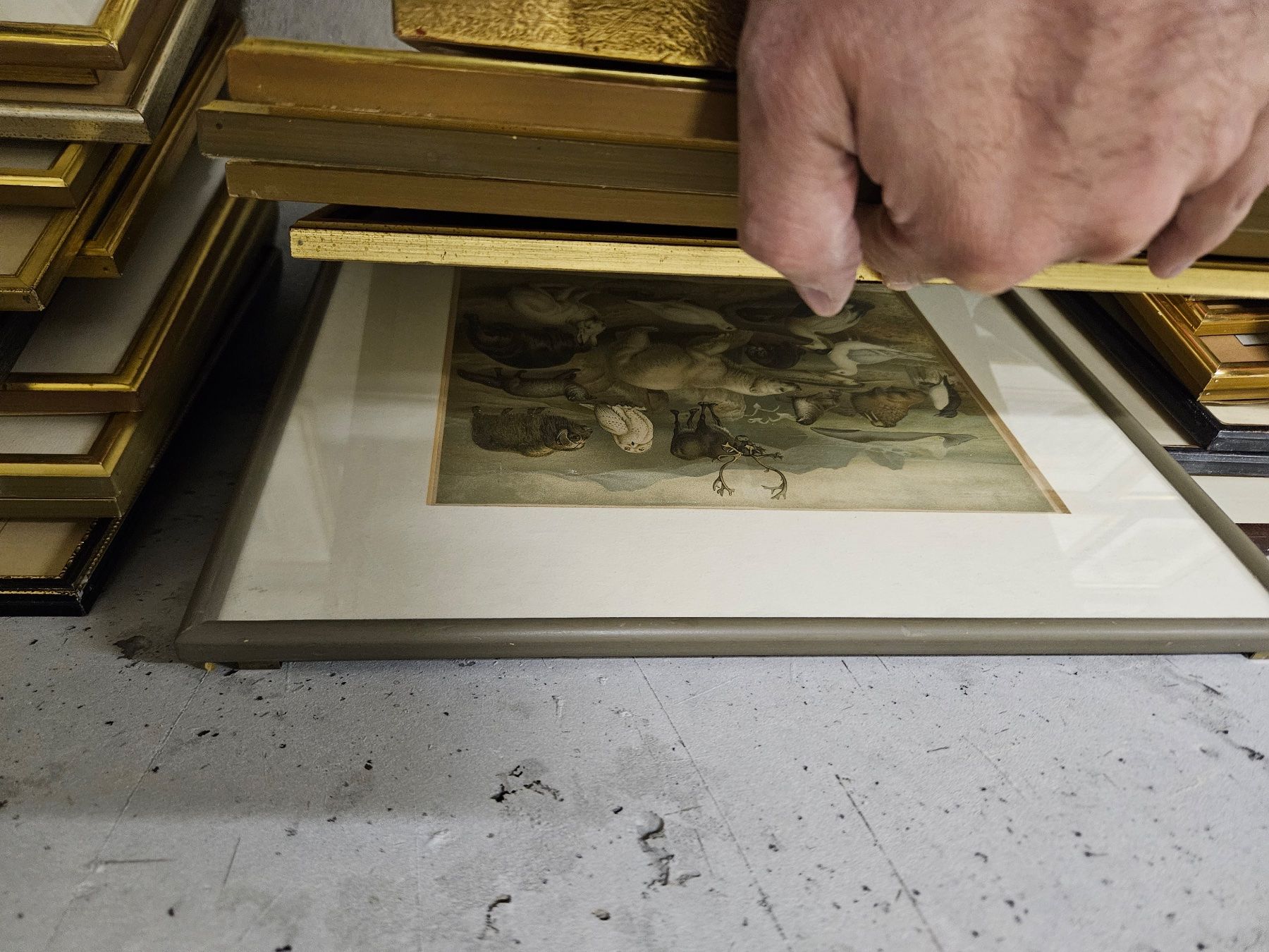 Stiche: Grosse Stich - Sammlung - ca. 50 Stück – Gebraucht aus Rieden AG von sam5432 6