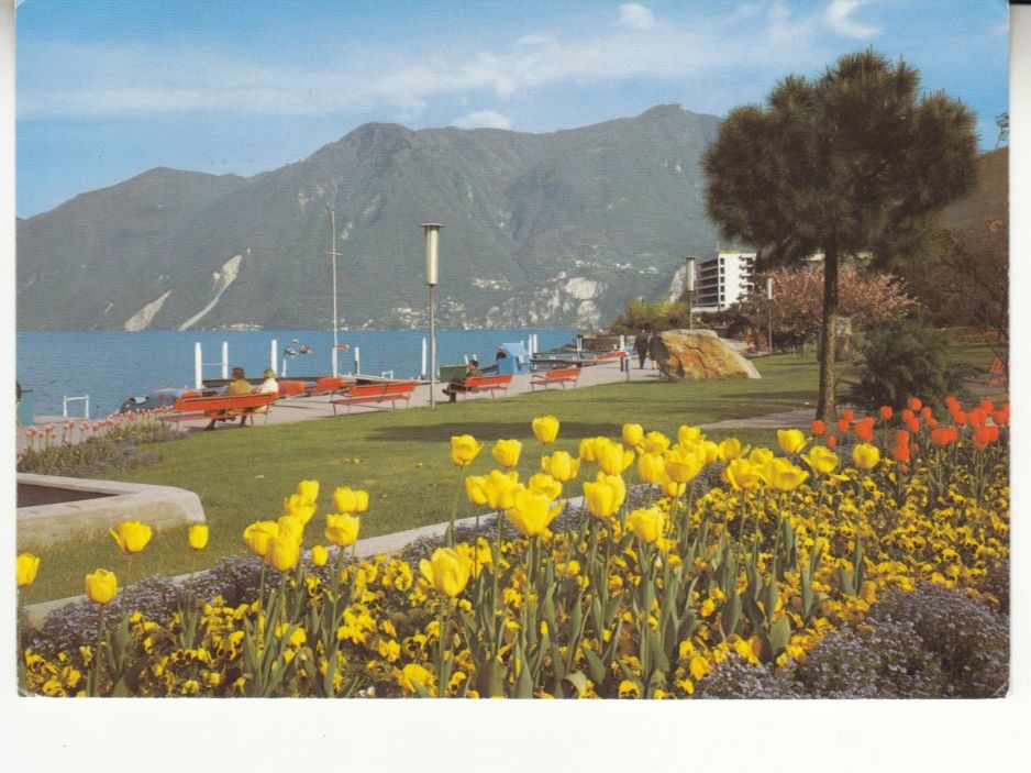 Cartoline postali: Lugano Paradiso 1984 – Usato da Bürglen TG venduto da StampGraf