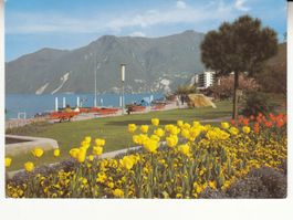 Lugano Paradiso 1984