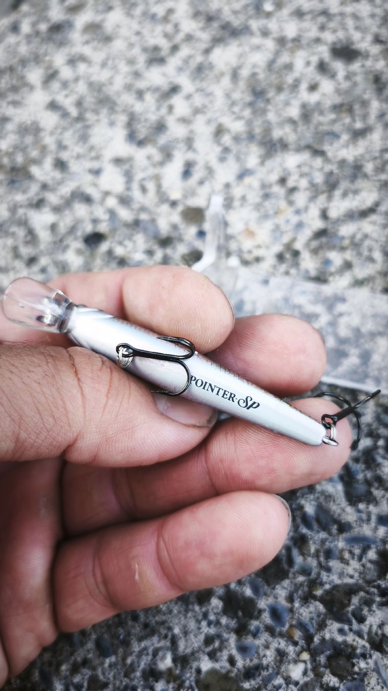 Appâts: Lucky Craft Pointer SP 65 – Neuf (Voir description) à Sarnen par sebalant 3