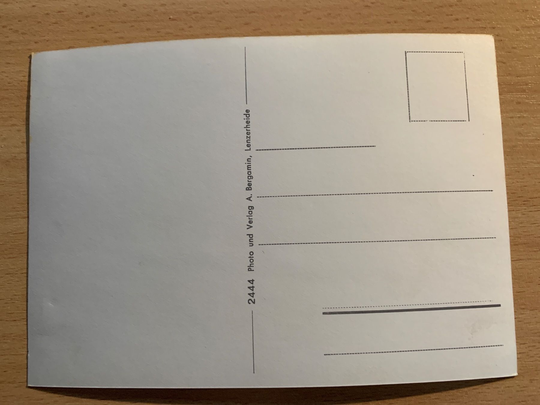 Cartoline postali: ANTIKE ANSICHTSKARTE LENZERHEIDE********* – Usato da Ibach venduto da lisch3 1
