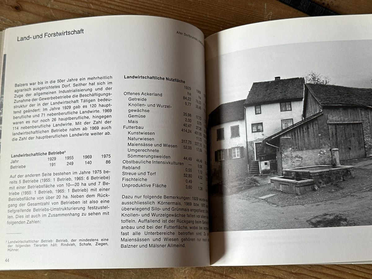 Libri: Geschichte Balzers – Usato da Berschis venduto da Vild1 3
