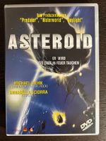 Asteroid - Er wird die Erde in Feuer tauchen
