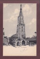 BERN - Münster - 1905