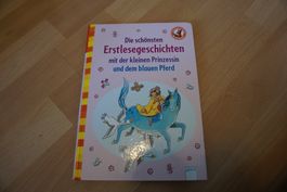 Lesebuch Erstlesegeschichten mit der kleinen Prinzessin..