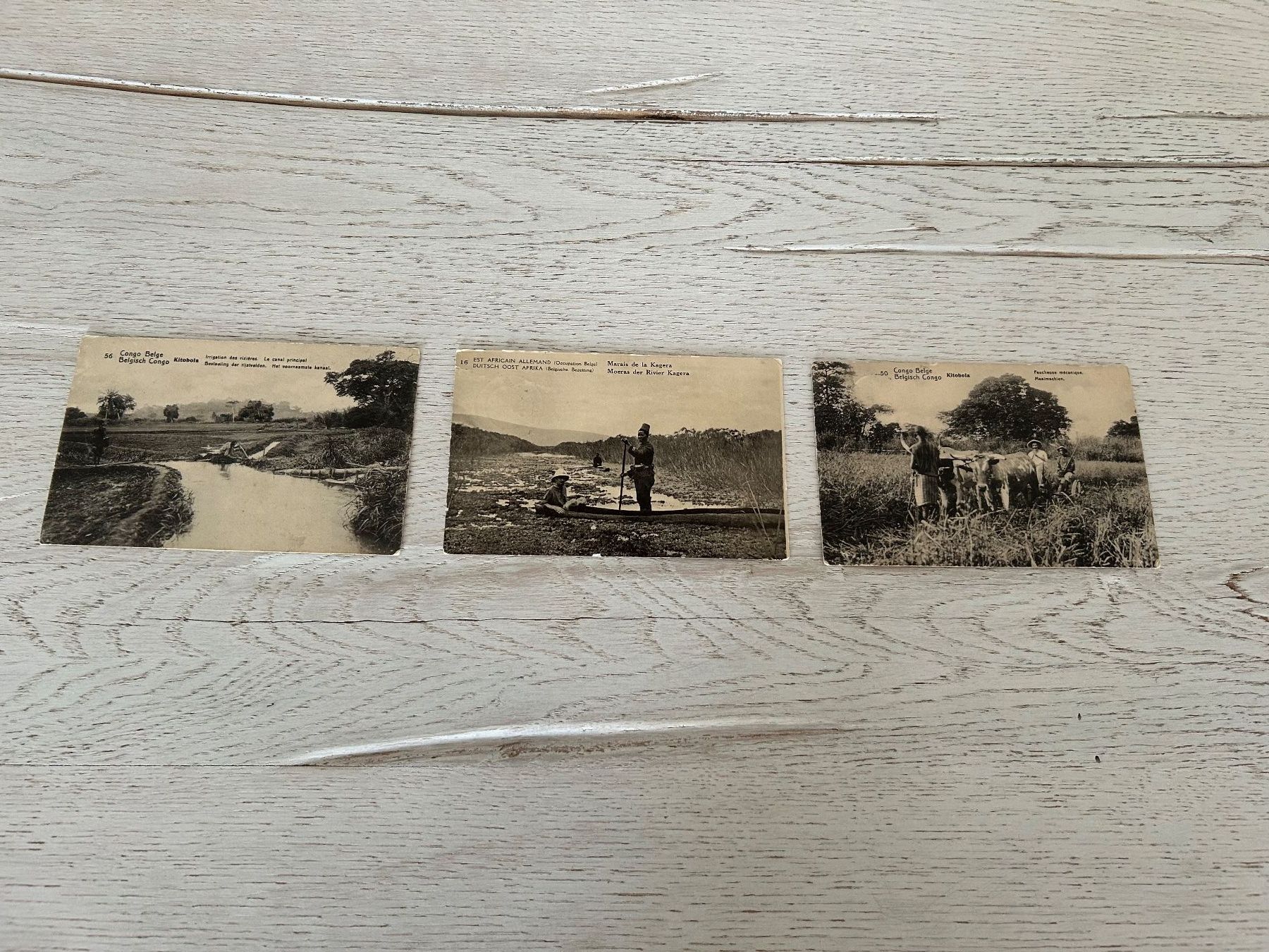 Cartoline postali: Ansichtskarten Kongo – Usato da Wängi venduto da Argon180