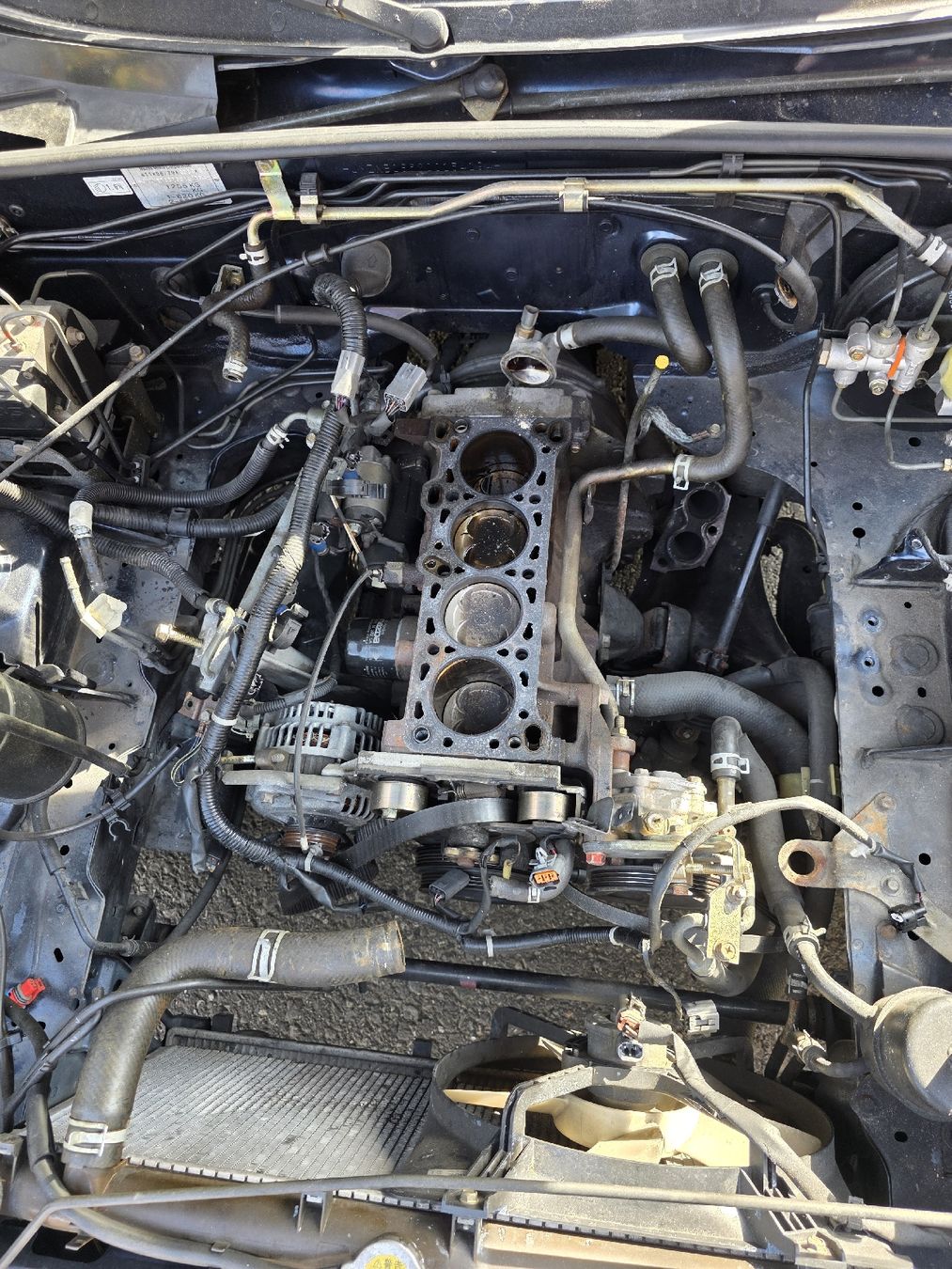 Mazda Automobili: Mazda MX5 1.6cc – Usato da Cadenazzo venduto da LuismacchineSagl 8