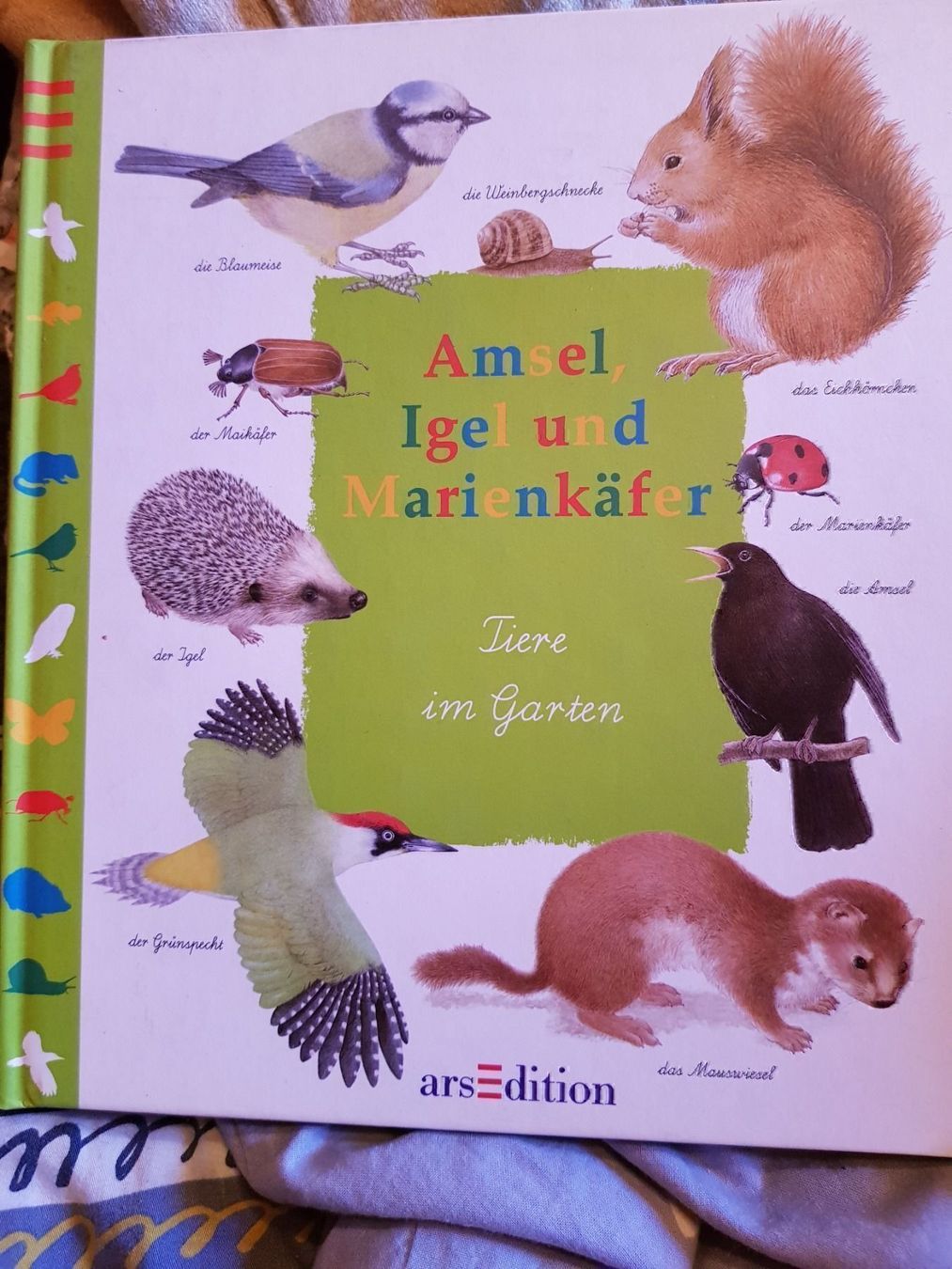 Bücher: Buch Amsel, Igel und Marienkäfer – Neu und originalverpackt aus Schwarzenburg von Flamingo07
