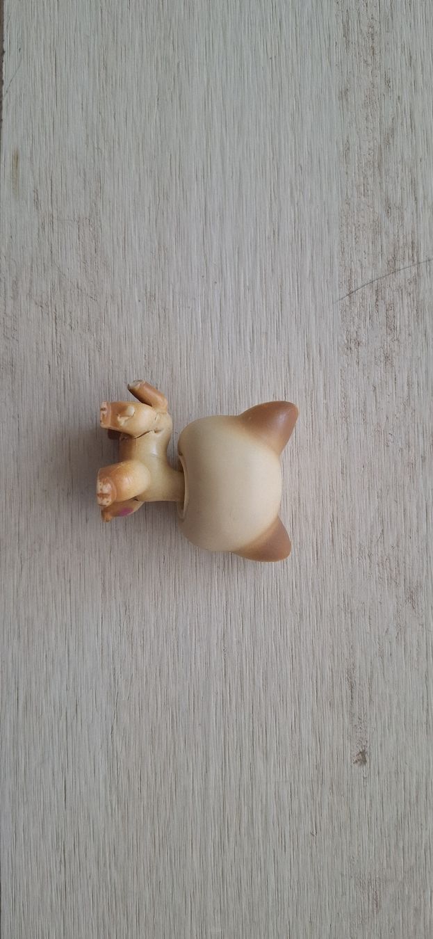 Littlest Pet Shop Giocattoli: LPS Littlest Pet Shop cat  816 – Usato da La Tour-de-Trême venduto da Beamaii 2