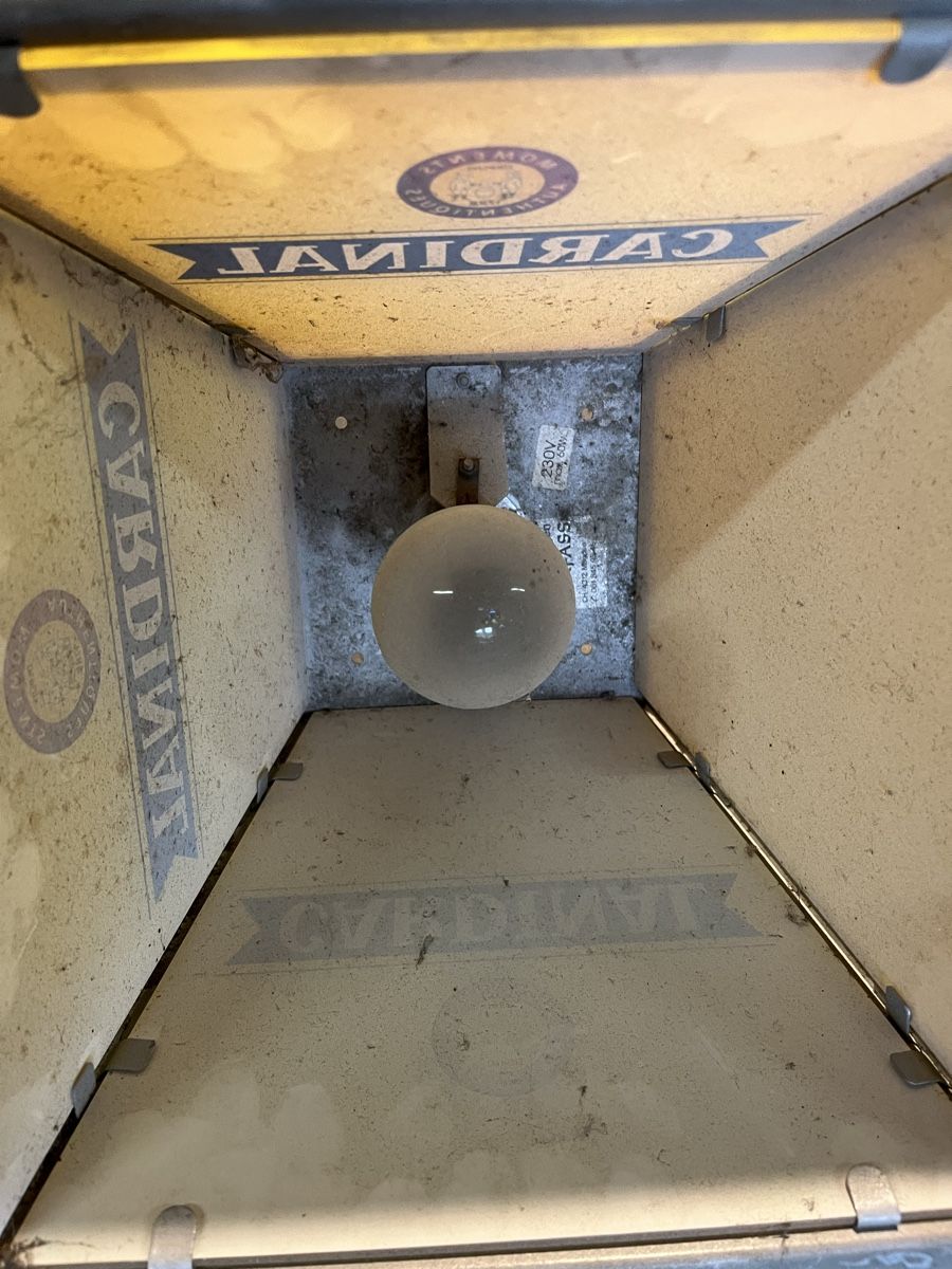 Lampade: Lampe – Difettoso da Konolfingen venduto da Smond 1