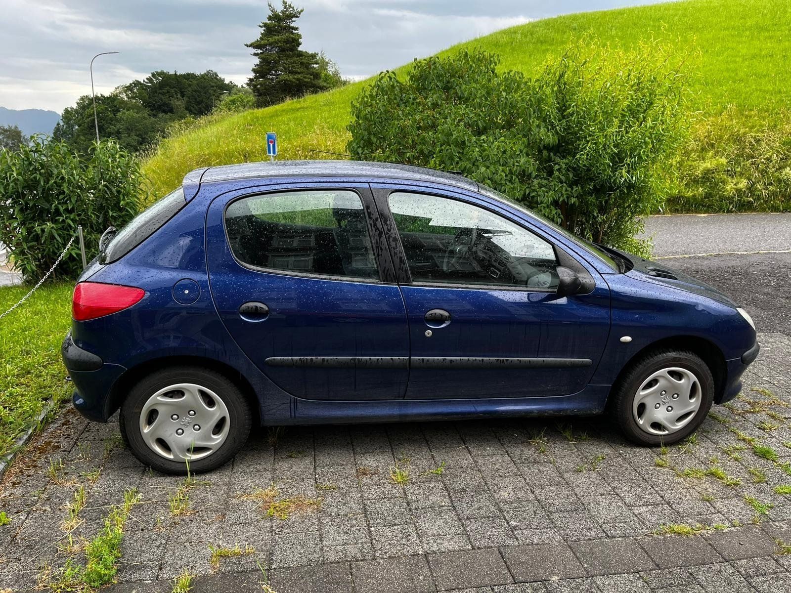 Peugeot Automobili: Peugeot – Usato da walzenhausen venduto da 240185