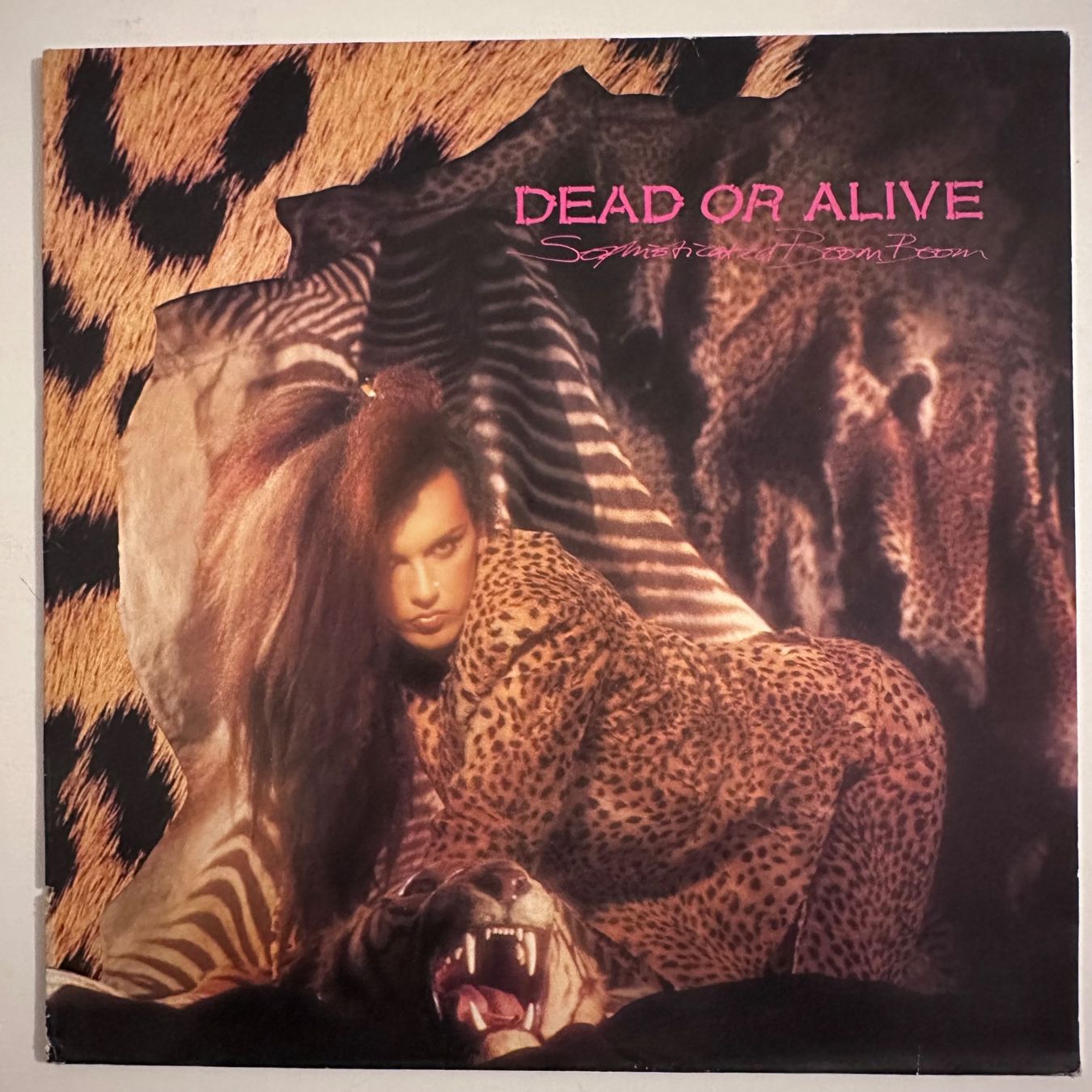 Schallplatten: LP - Dead Or Alive - Sophisticated Boom Boom – Gebraucht aus Breganzona von Onairda75