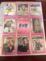 EV Zug EVZ Player Trading Cards Sammelkarten 1993/94