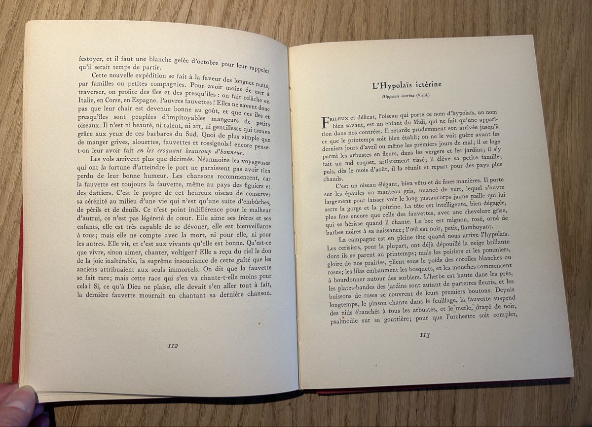 Libri: Nos oiseaux Rambert Robert 1951 illustré couleur – Usato da Lausanne venduto da TelmaLouise70 6
