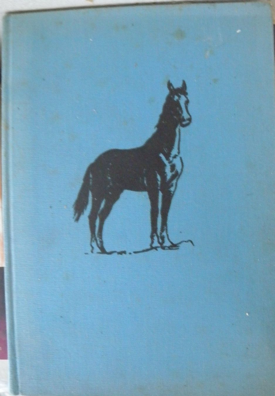Libri: der schwarze hengst bento – Usato da Hauenstein venduto da Danbach