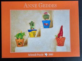 Puzzle Schmidt 1000 Teile - Anna Geddes / Kaktustöpfen