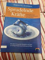Sprudelnde Kräfte: Feng Shui & Zimmerbrunnen (Buch)
