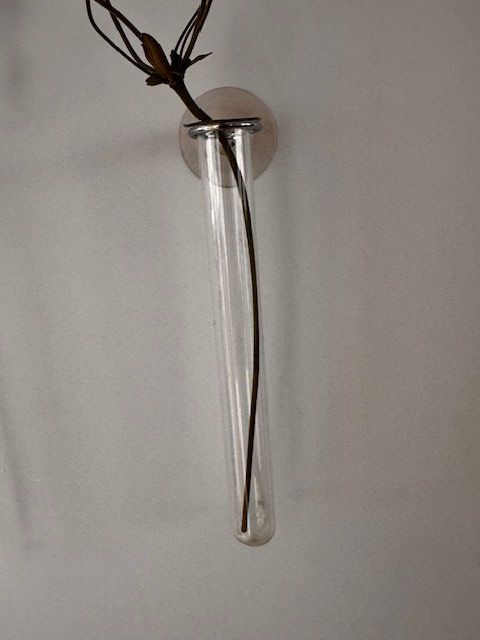 Tutte le decorazioni: 2  Reagenzglas-Vasen mit Saugnapf – Nuovo (secondo la descrizione) da Honau venduto da sainj 2