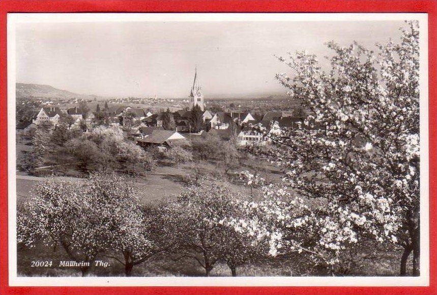 Cartoline postali: MÜLLHEIM – Usato da Grüningen venduto da Kartenlaube
