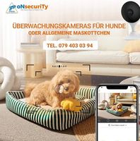  Überwachungskamera speziell für Hunde