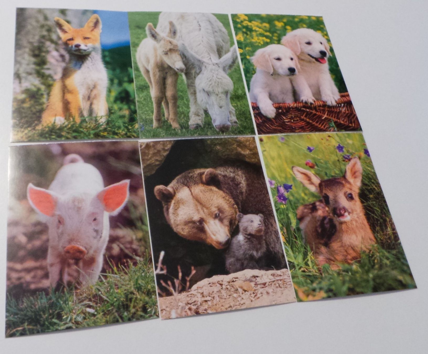 Cartoline postali: 12 Postkarten mit süssen Tiermotiven – Nuovo (secondo la descrizione) da Flamatt venduto da Tattoo18