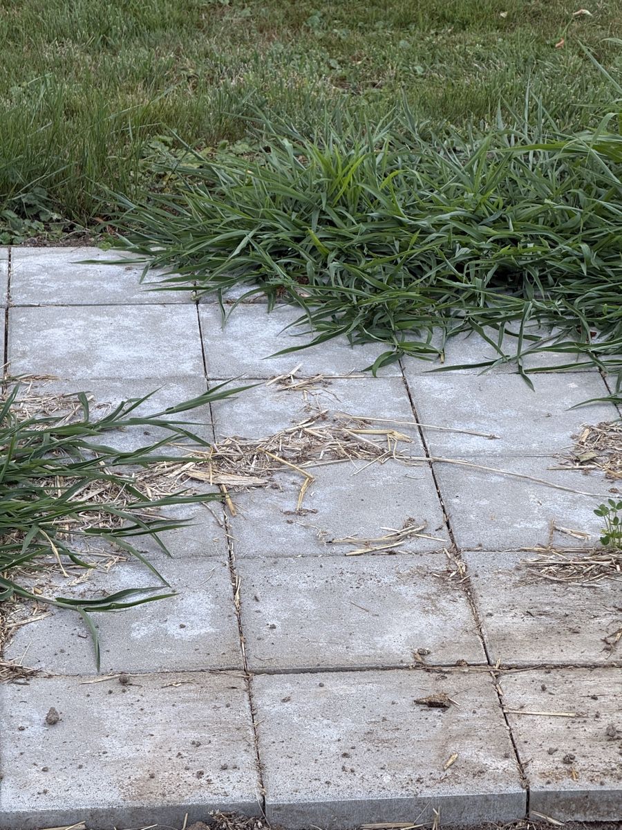 Bodenbeläge: Steinplatten für Gartenboden – Gebraucht aus Pfäffikon SZ von Tonimarroni99 2