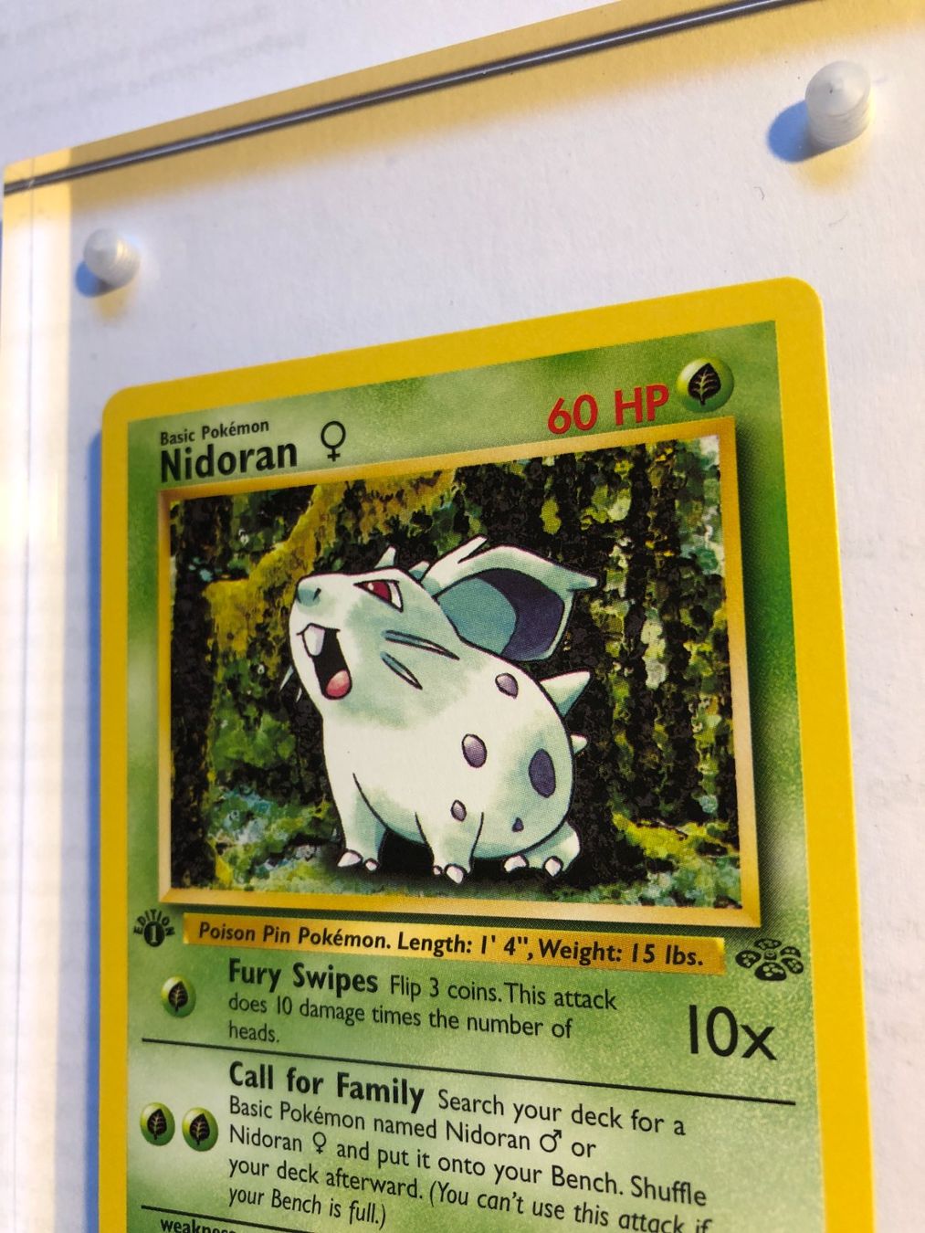 Sammelbilder & Trading cards: Nidoran 1st Jungle - MINT - ab 1.- – Gebraucht aus Giubiasco von dan_pr8b 3