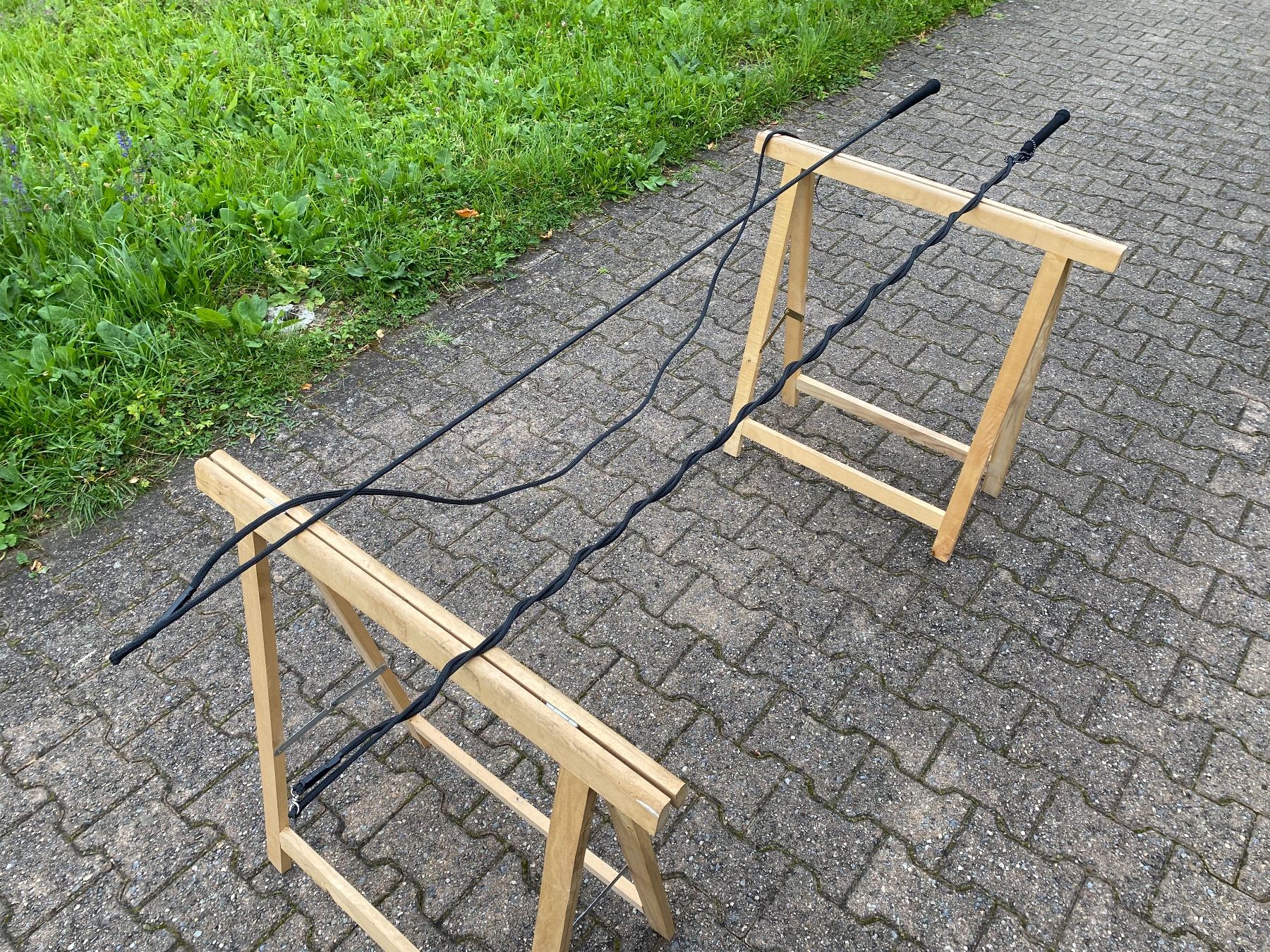 Carrozze: 2 schöne Longierpeitschen – Usato da Feldbach venduto da Fea1 6