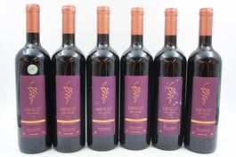 6x CINAWEINE Merlot AOC Valais Rotwein (26091463Z)