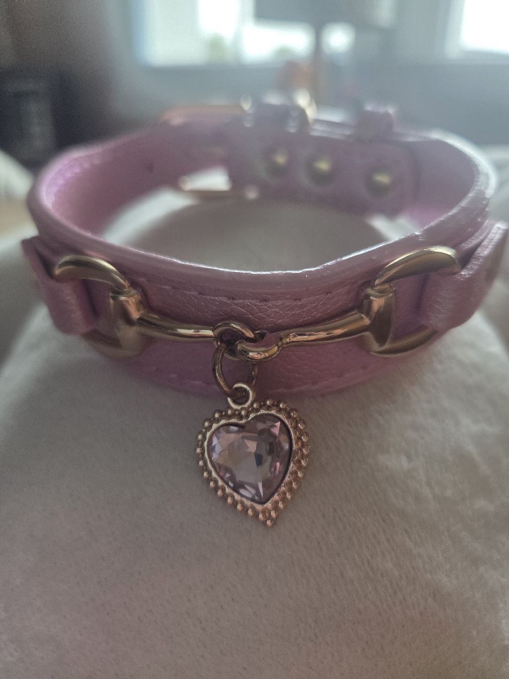 Leine & Halsband: Katzenhalsband  – Neu (gemäss Beschreibung) aus Bühler von ros_5qfr